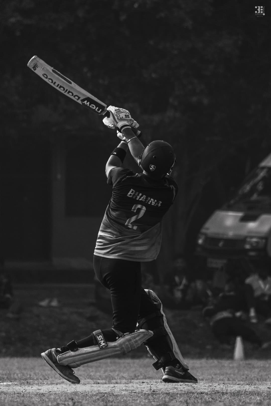 cricket