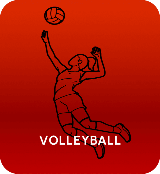 VOLLEYBALL